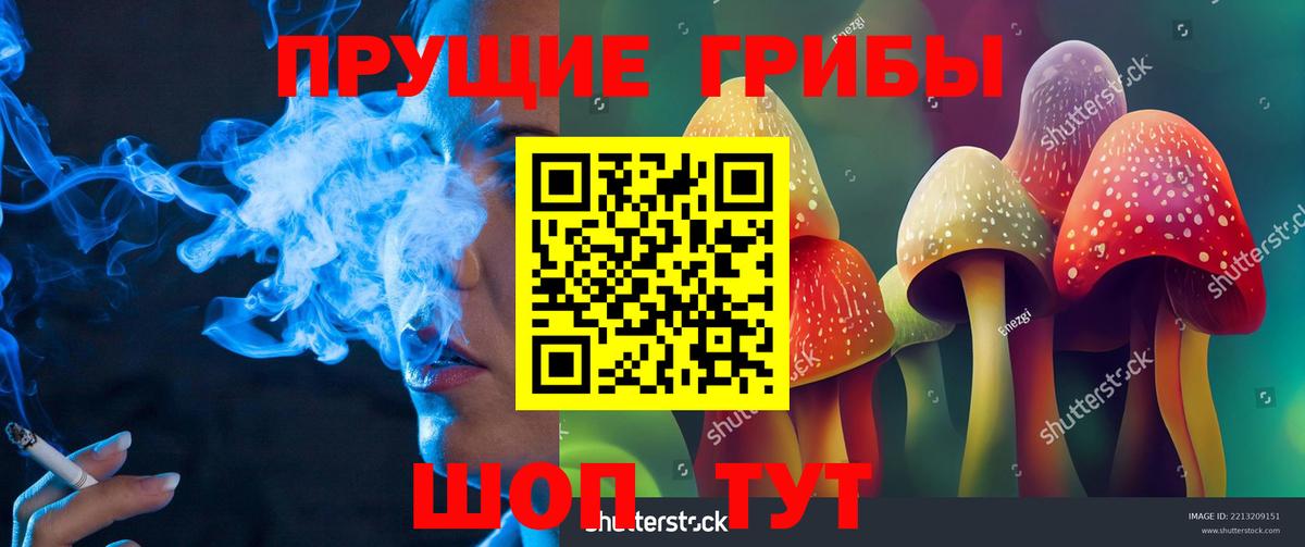 Псилоцибиновые грибы Psilocybe Обнинск